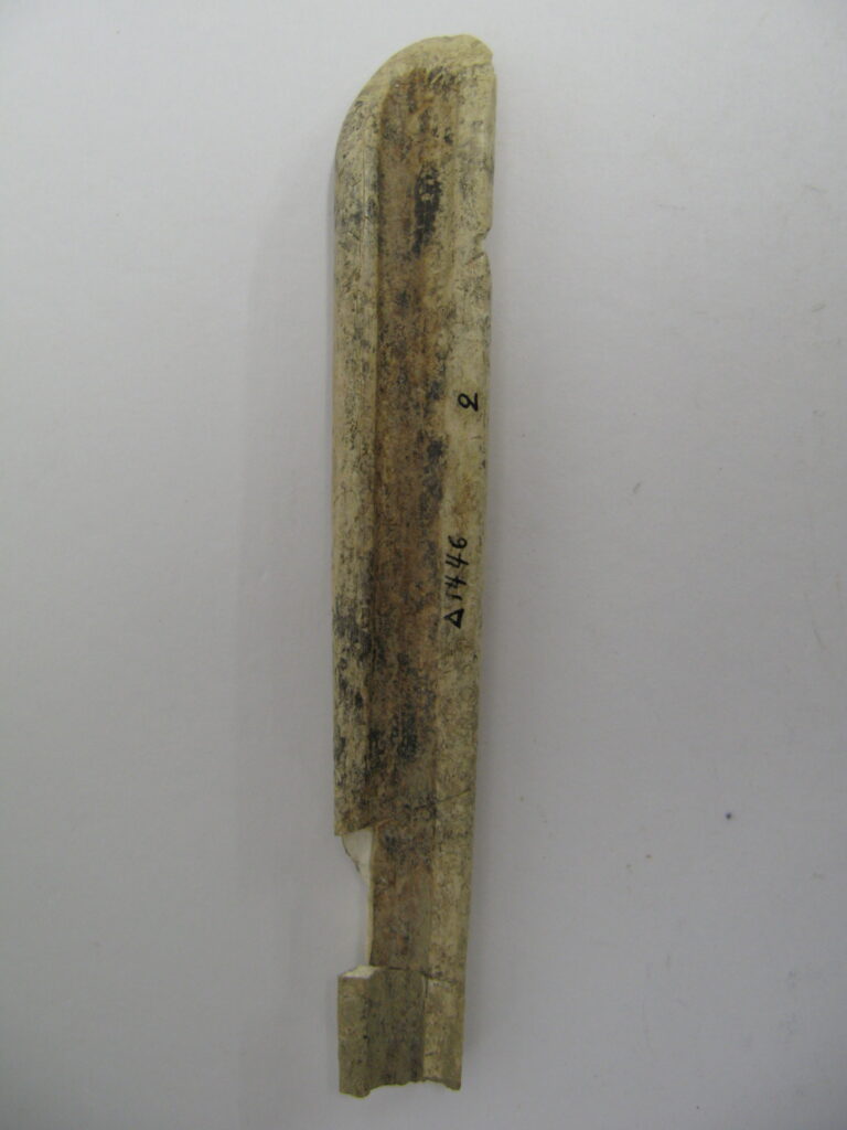 Bone spatula